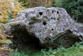 Boucle dans le secteur Est du Bois du Beynert Boucle dans le secteur Est du Bois du Beynert