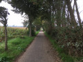 Chemin de promenade Chemin de promenade
