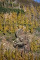 Tupin, Condrieu, Semons: entre Rhône et vignobles Tupin, Condrieu, Semons: entre Rhône et vignobles
