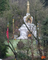 Bois de Tihange Bois de Tihange
