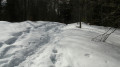 Jägersteig Jägersteig