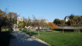 Jardin Catherine Labouré Jardin Catherine Labouré