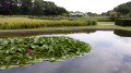 Jardin du fleuriste Jardin du fleuriste
