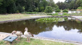 Jardin du fleuriste Jardin du fleuriste
