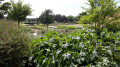 Jardin du fleuriste Jardin du fleuriste