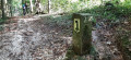 Ruschbachtal et Saint-Chrischona au départ de Wyhlen Ruschbachtal et Saint-Chrischona au départ de Wyhlen