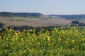 La Valouine La Valouine
