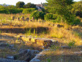 L'église depuis le site archéologique de St-Julia L'église depuis le site archéologique de St-Julia