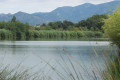 Balade bucolique à l'Étang de Bachous Balade bucolique à l'Étang de Bachous