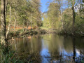 La Forêt de Soignes La Forêt de Soignes