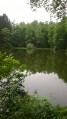 En forêt du Mortehan : les 4 ruisseaux, la Roche au Sel, le Gros Chêne En forêt du Mortehan : les 4 ruisseaux, la Roche au Sel, le Gros Chêne