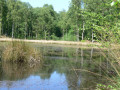 L'Etang près des 6 Chemins L'Etang près des 6 Chemins