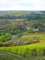 Hautes Côtes de Nuits entre Chevannes et l'Etang-Vergy Hautes Côtes de Nuits entre Chevannes et l'Etang-Vergy