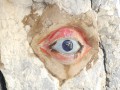Les Calanques : Col de la Gineste, l'Oeil de Verre, Dalles de La Lèque Les Calanques : Col de la Gineste, l'Oeil de Verre, Dalles de La Lèque