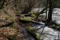 L'Ourthe L'Ourthe