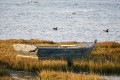 Le Hézo : entre marais et Golfe du Morbihan Le Hézo : entre marais et Golfe du Morbihan