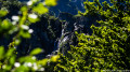 La cascade La cascade