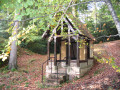 Boucle du Hêtre Rudi depuis de la Chapelle Saint-Étienne en forêt d'Eawy Boucle du Hêtre Rudi depuis de la Chapelle Saint-Étienne en forêt d'Eawy