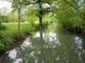 Le Marais de la Baronnerie depuis Damvix Le Marais de la Baronnerie depuis Damvix