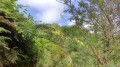 Le Piton des Songes Le Piton des Songes