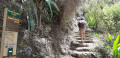 La dernière montée La dernière montée