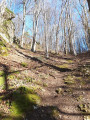 La descente à prendre au niveau du point 7 La descente à prendre au niveau du point 7