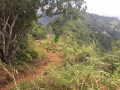 La descente La descente