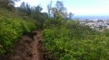 La descente La descente