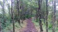La descente La descente