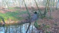 Quelques curiosités de la Forêt d'Halatte Quelques curiosités de la Forêt d'Halatte