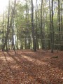 Source des Lièvres IBP 24 Source des Lièvres IBP 24