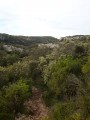 La garrigue La garrigue