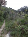 La Grand Combe La Grand Combe