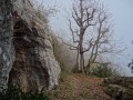 La grotte au dessus de Culles les Roches La grotte au dessus de Culles les Roches
