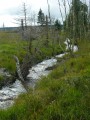 La Helle entre Fagne Wallonne et Noir Flohai La Helle entre Fagne Wallonne et Noir Flohai