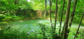 Le Parc de la Lère Le Parc de la Lère