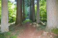 L'Arboretum de Vendresse, la Ligne aux Sapins et les sources du Cogneux L'Arboretum de Vendresse, la Ligne aux Sapins et les sources du Cogneux