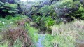 La Mare par la Forêt des Hauts de Mont Vert La Mare par la Forêt des Hauts de Mont Vert