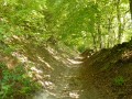 La Forêt du Hellet par les Bois de Croixdalle et de Bailleul La Forêt du Hellet par les Bois de Croixdalle et de Bailleul