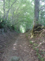 La Montée La Montée