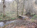 Boucle autour de la Dragne par le Moulin de la Ruchette Boucle autour de la Dragne par le Moulin de la Ruchette