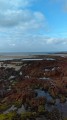 Boucle du Cap de Flamanville Boucle du Cap de Flamanville