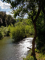 Les Arcs-sur-Argens - L'Apié de Raybaud Les Arcs-sur-Argens - L'Apié de Raybaud