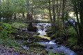 Aritzakun depuis Bassassagar Aritzakun depuis Bassassagar