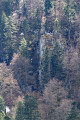 Un tour au Lac des Corbeaux Un tour au Lac des Corbeaux