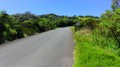La Route du Volcan La Route du Volcan