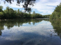 Bois de Sainte-Assise côté Seine Bois de Sainte-Assise côté Seine