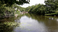 Promenade le long de la Sèvre à Saint-Laurent Promenade le long de la Sèvre à Saint-Laurent
