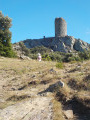 La Tour de la Massane depuis La Vall La Tour de la Massane depuis La Vall