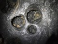 La trilogie des vasques La trilogie des vasques